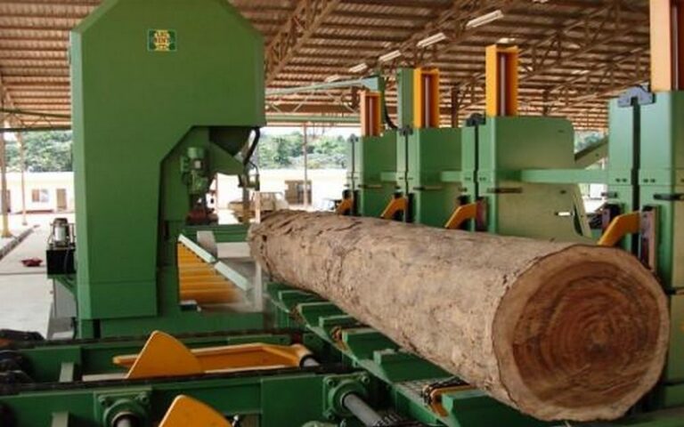 Promotion de la transformation locale de bois : Le Cameroun fournit 224 hectares de zones industrielles et espère la création de 55 000 emplois