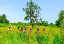 RDC : Le Document de stratégie pays 2023-2028 de la BAD mise sur l’industrialisation et l’emploi pour réduire la fragilité