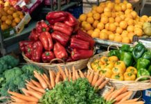 Sénégal : La production de fruits et légumes a augmenté de près de 700 tonnes entre 2012 et 2023, selon le directeur de l’horticulture