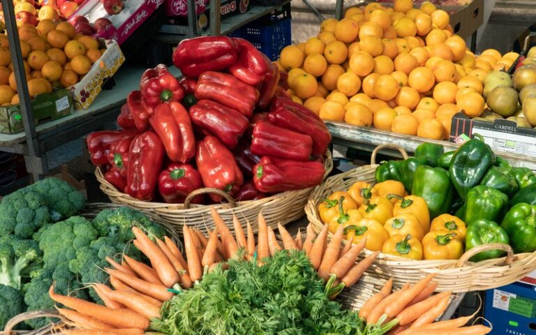 Sénégal : La production de fruits et légumes a augmenté de près de 700 tonnes entre 2012 et 2023, selon le directeur de l’horticulture