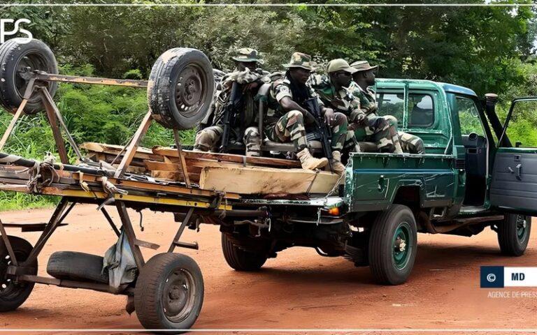 Sénégal : Le service des Eaux et forêts de Sedhiou a saisi 22 billons et du matériel de coupe de bois