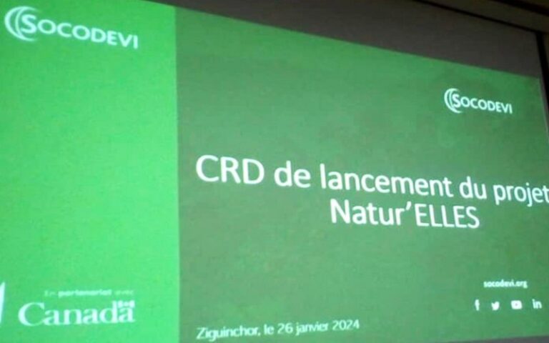 Sénégal : Un projet de lutte contre les changements climatiques lancé à Ziguinchor
