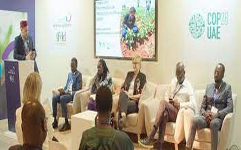 COP 28 : Vers le renforcement de la capacité des jeunes africains à mettre en œuvre des solutions climatiques dans les régions francophones