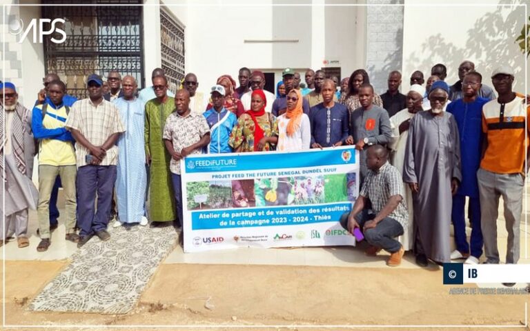Des responsables agricoles du Sénégal qualifient de « réussite totale » la mise en œuvre de la technique du microdosage