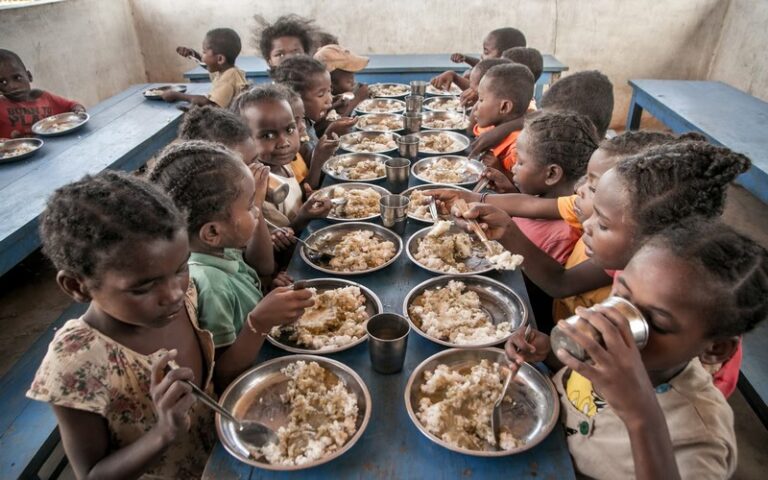 Des solutions ouest-africaines sur la sécurité alimentaire durable