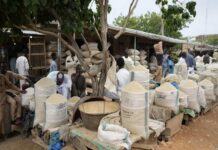 Forte hausse des prix du riz en janvier 2024 au Nigeria, le Sénat vole au secours avec des bons alimentaires