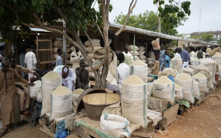 Forte hausse des prix du riz en janvier 2024 au Nigeria, le Sénat vole au secours avec des bons alimentaires