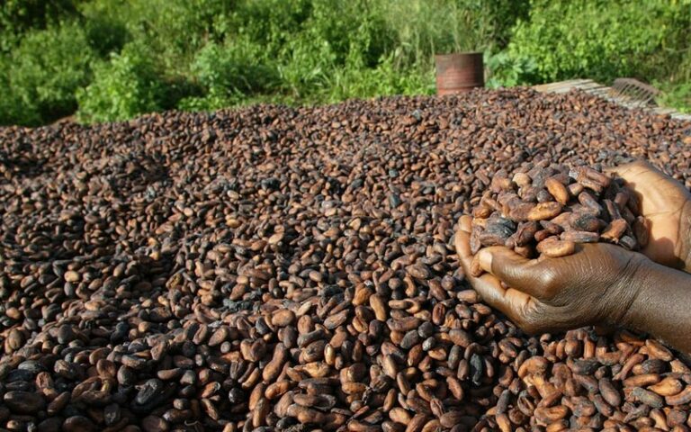 Hausse du prix du cacao à des niveaux historiques, une forte inflation attendue à Pâques
