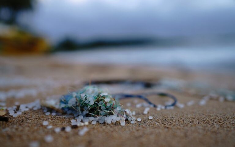 La pollution des océans par les microplastiques : Ce fléau silencieux qui menace la faune et l’environnement