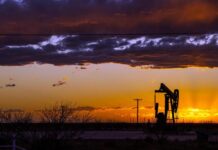 Le silence assourdissant des donateurs après l’autorisation de l’exploration pétrolière par la République du Congo dans le parc national de Conkouati