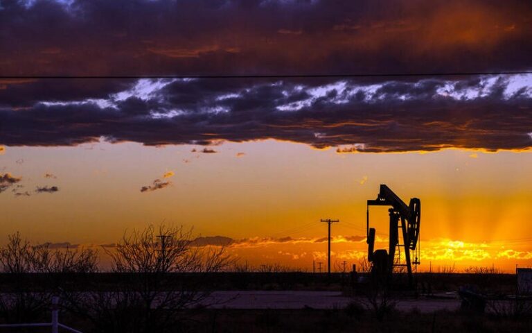 Le silence assourdissant des donateurs après l&rsquo;autorisation de l&rsquo;exploration pétrolière par la République du Congo dans le parc national de Conkouati