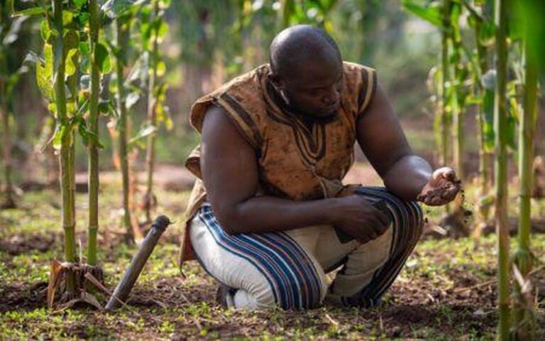 Lutte contre le changement climatique : La Côte d’Ivoire et le FMI s’accordent sur un programme évalué à 1,3 milliard $