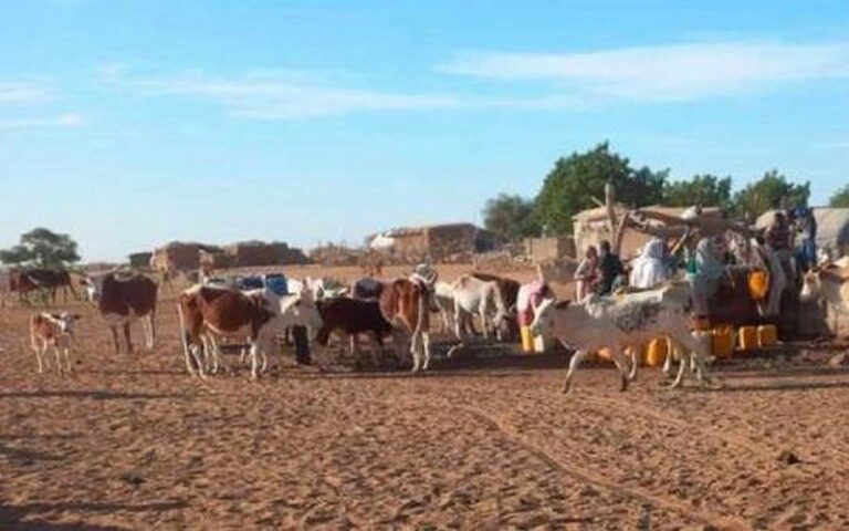 PRECEL : Le Burkina Faso mise sur un financement de 200 millions $ pour stimuler le sous-secteur de l’élevage