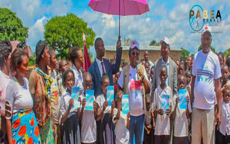 RDC : Un projet financé par la BAD sort des milliers d’enfants des mines de cobalt et les ramène à l’école