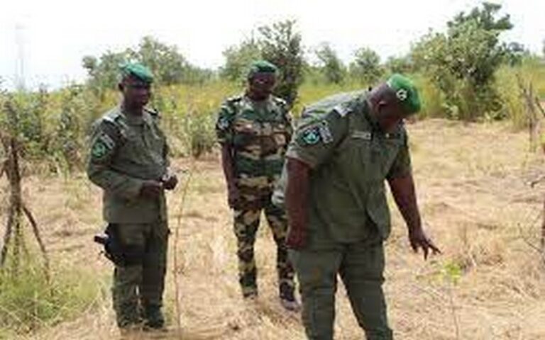 Sénégal : L&rsquo;IREF de la région de Tambacounda lance la campagne d’exploitation forestière