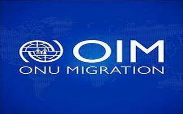 Sénégal : La cheffe de mission de l’OIM annonce la formation de cent jeunes à des activités liées à la préservation de l’environnement à Saint-Louis