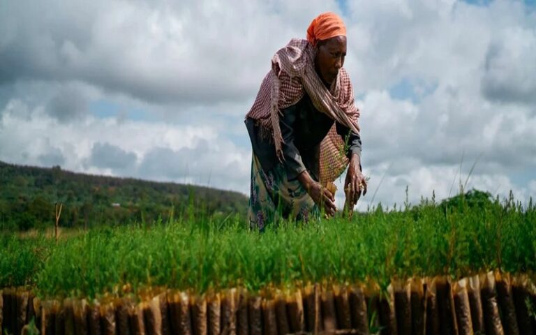 Accès à l’eau et à l’assainissement en Éthiopie : Le Fonds africain de développement les communautés pastorales du Borana