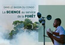 Dans le bassin du Congo, la science au service de la forêt