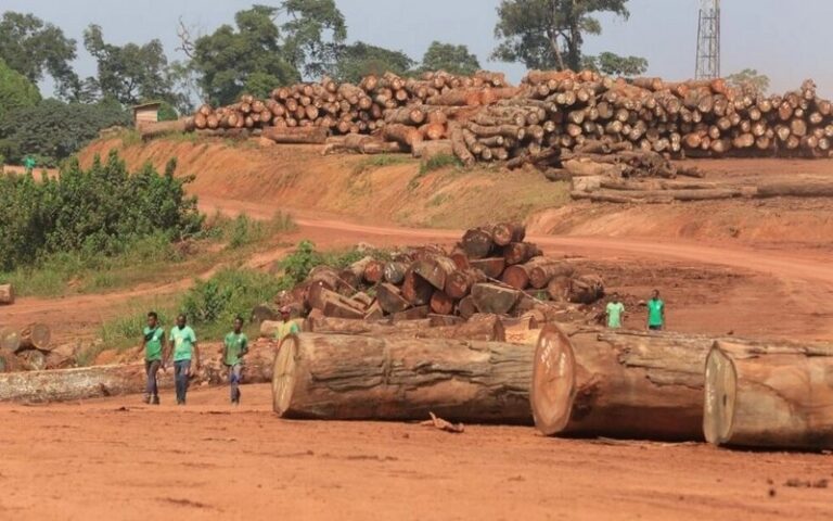 L’Afrique centrale fixe à 2028 l’interdiction d’exporter des grumes de bois