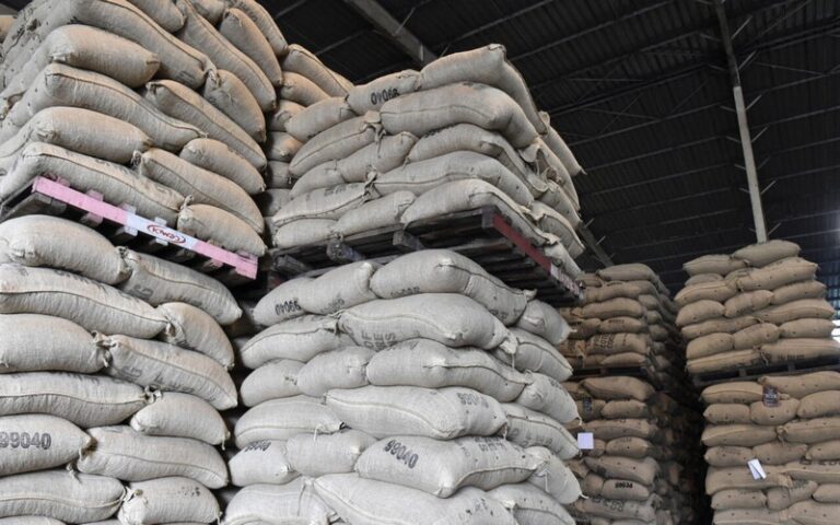 L’Afrique face aux pertes agricoles dues aux problèmes de stockage