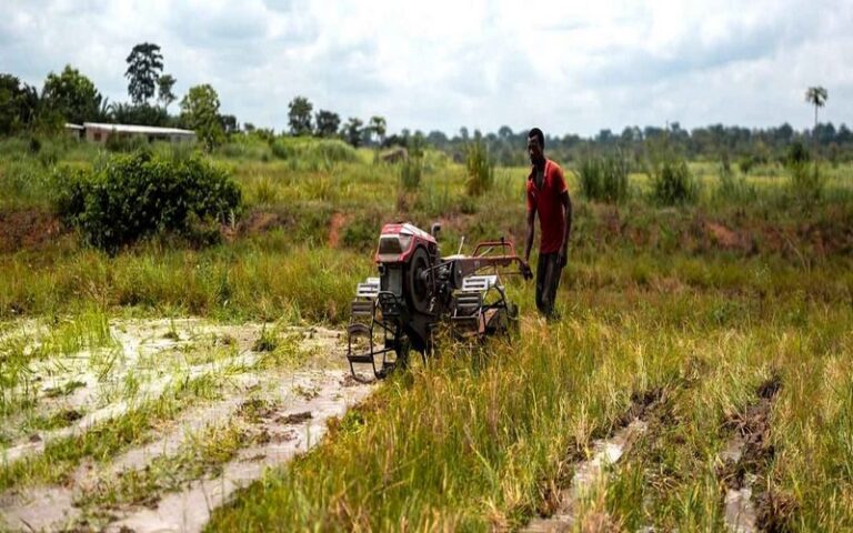 La BAD accorde, à la RDC, un prêt de 117 millions de dollars pour appuyer la transformation agricole
