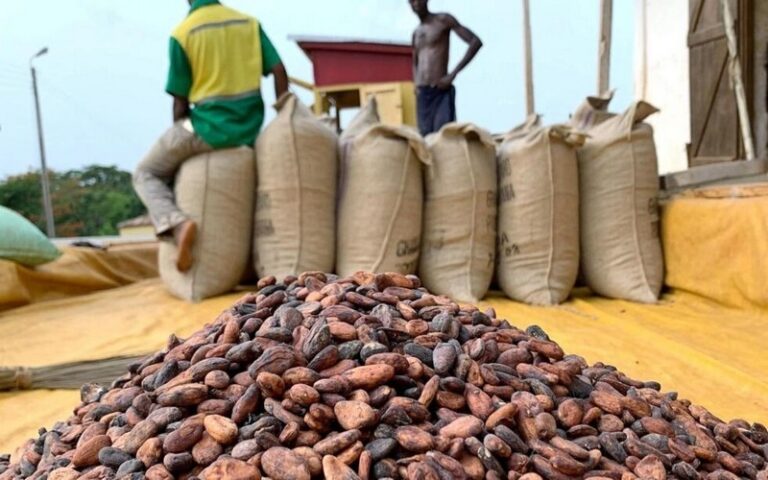 La hausse du prix du cacao en Côte d&rsquo;Ivoire suscite des réactions mitigées