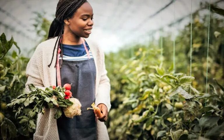 Pour la FAO, « l’avenir du secteur agroalimentaire africain est prometteur »       