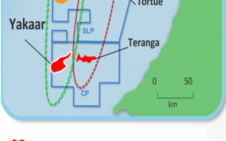 Projet GTA : Un contentieux à 300 milliards F CFA autour du gaz sénégalais