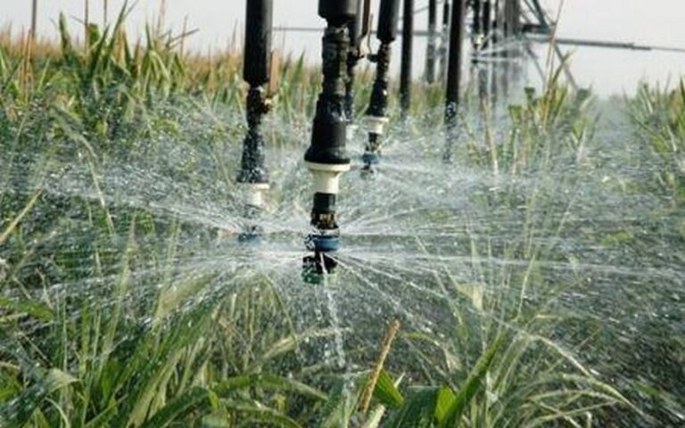 Promotion des technologies agricoles climato-intelligentes : La Banque mondiale injecte 40 millions $ en Afrique