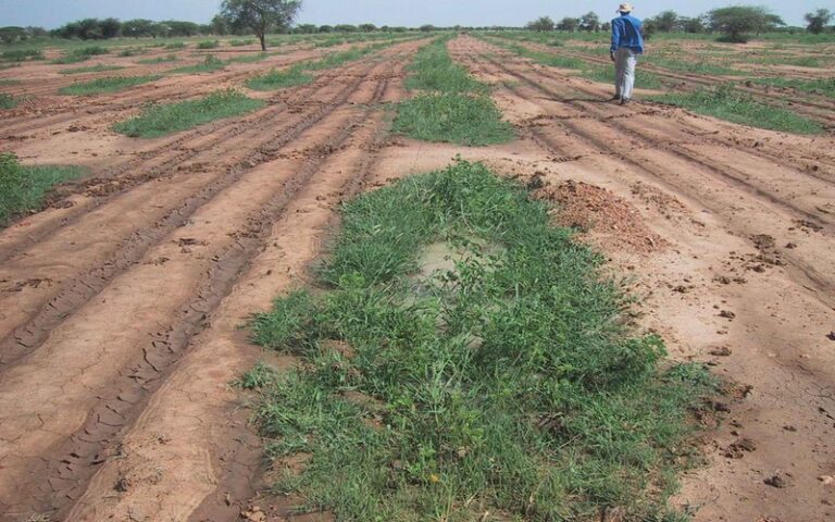 Sénégal : Les acteurs de l’environnement et des populations de Matam outillés sur les techniques de conservation des sols