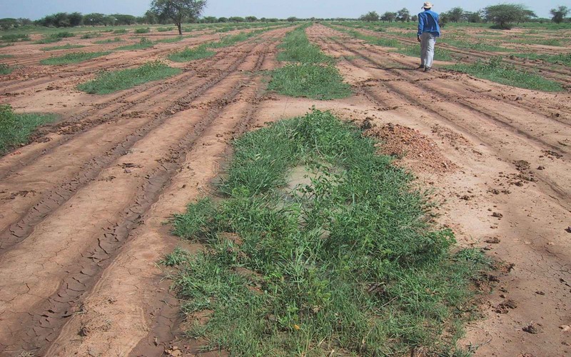 Sénégal : Les acteurs de l’environnement et des populations de Matam outillés sur les techniques de conservation des sols
