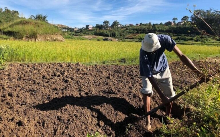 Derrière la loi foncière en préparation, la méfiance des défenseurs de l’agriculture familiale au menu des échanges à Madagascar