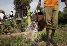 L’UISTAAC travaille pour une agriculture plus performante et une meilleure alimentation