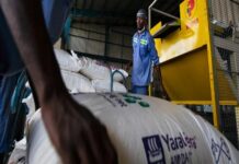 Le Mécanisme africain de financement du développement des engrais lance un projet visant à doter de l’engrais aux petits exploitants agricoles du Kenya