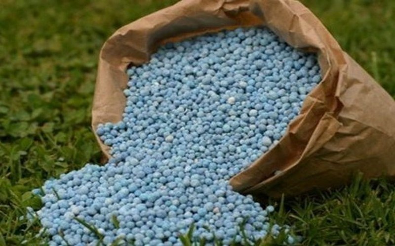 Le gouvernement béninois publie les prix des engrais subventionnés à hauteur de 40 millions $ pour la campagne agricole 2024-2025