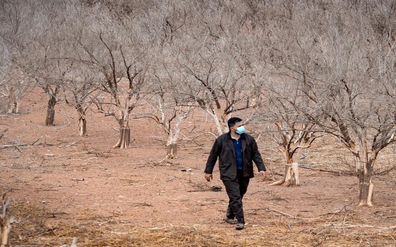 Le manque d’eau sur le secteur agricole au cœur des préoccupations de la 16ème édition du Salon de l’agriculture du Maroc              