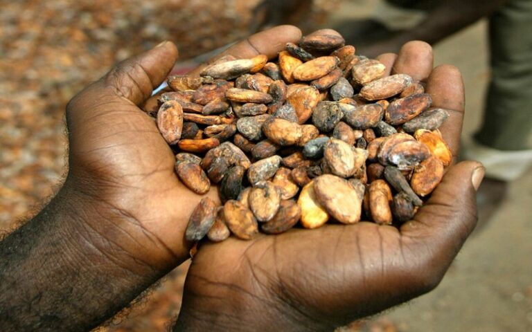 Le prix du cacao durable au menu de la 5ème Conférence mondiale sur le cacao à Bruxelles
