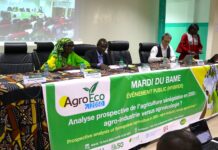 Les experts planchent sur le contraste « agro-industrie versus agro écologie » pour l’avenir agricole du Sénégal