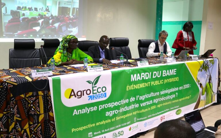 Les experts planchent sur le contraste « agro-industrie versus agro écologie » pour l’avenir agricole du Sénégal