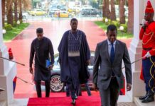 Les nouvelles autorités du Sénégal invitées à mettre davantage l’accent sur le développement de l’agriculture