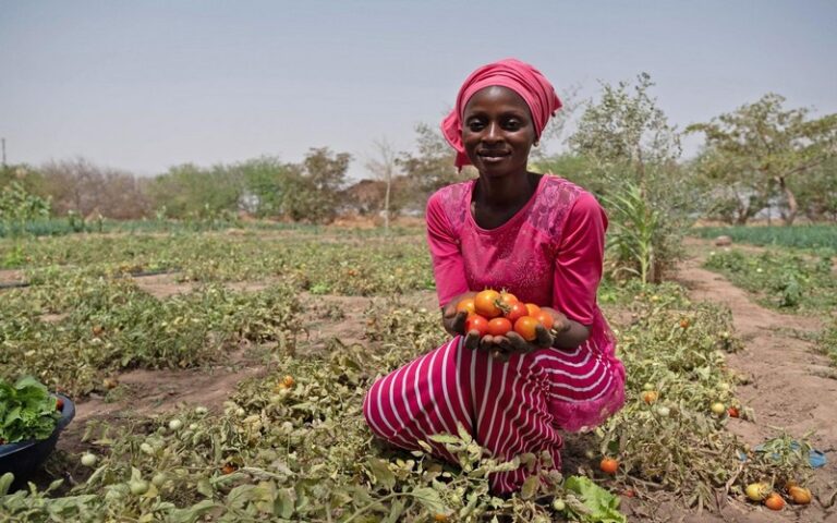 Sénégal : Vers la réhabilitation de 1 500 ha de périmètres irrigués villageois abandonnés à Matam