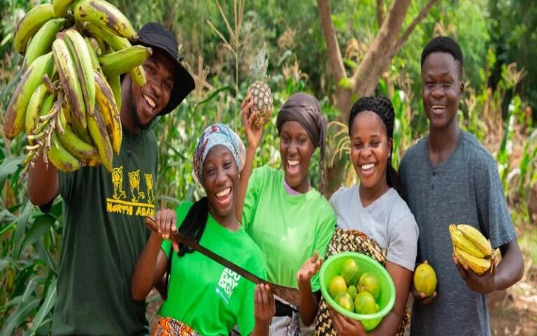 Vers un don de 999 000 dollars du YEI MDTF de la BAD au profit des entrepreneurs ghanéens et sénégalais pour des emplois verts dans les ressources naturelles