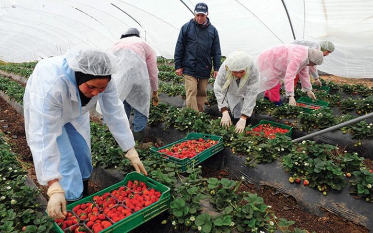 2026 officiellement proclamée « Année internationale des agricultrices » par l’Assemblée générale des Nations unies