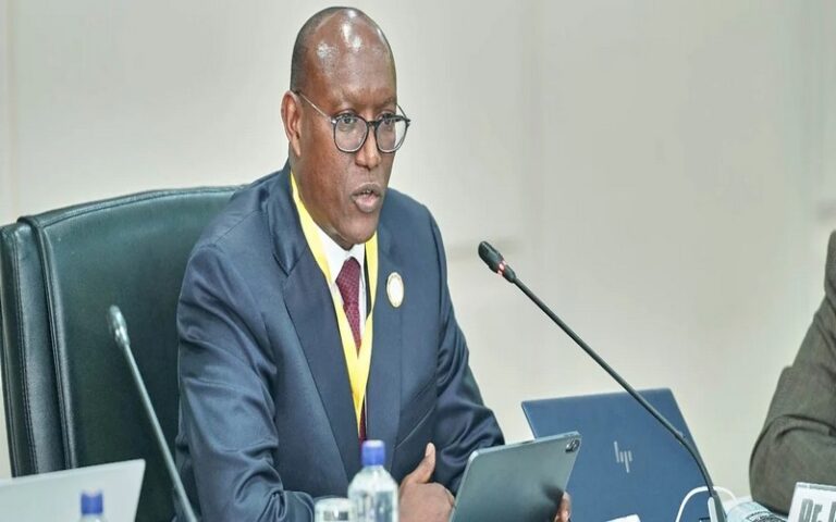 Assemblées annuelles 2024 de la BAD : Le Guichet d’action climatique lance un deuxième appel à propositions de projets d’atténuation dans 37 pays africains à faible revenu