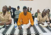 Exploitation clandestine des forêts : Le ministre Sénégalais de l’Environnement prône un accroissement des efforts