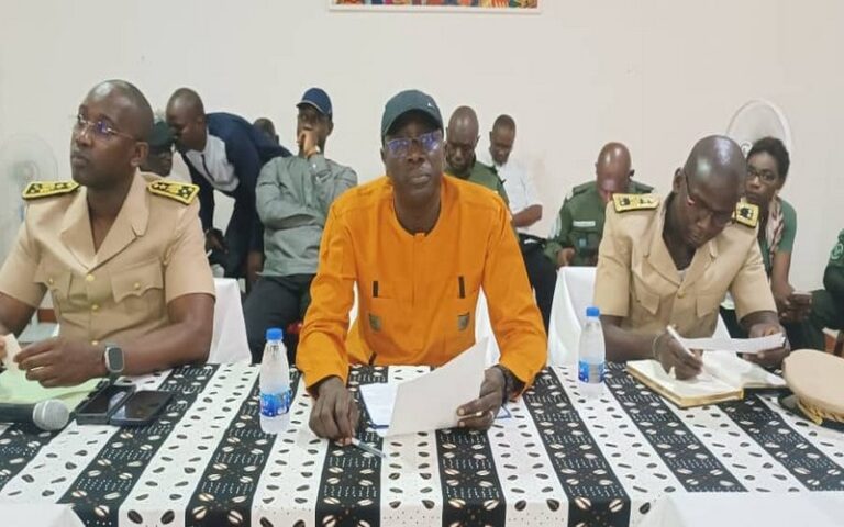 Exploitation clandestine des forêts : Le ministre Sénégalais de l’Environnement prône un accroissement des efforts