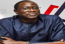 Sénégal : Daouda Ngom annonce la création de trois aires marines hauturières protégées d’ici à 2027 dont une transfrontalière avec la Mauritanie