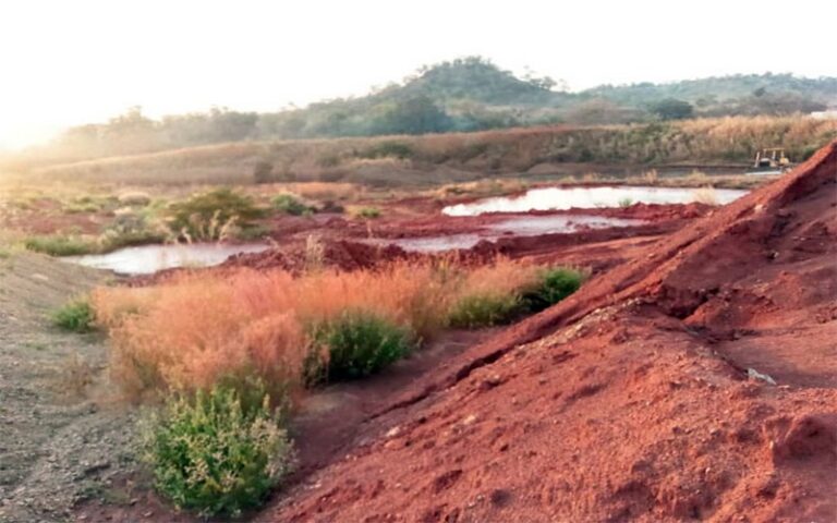 « L’État prendra des mesures hardies pour stopper la pollution de la Falémé », rassure Daouda Ngom