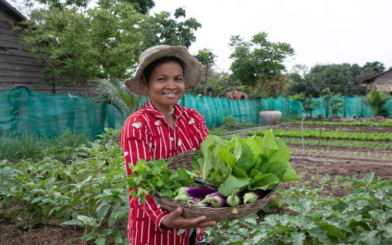 La FAO se félicite de la célébration de l’Année internationale des agricultrices en 2026