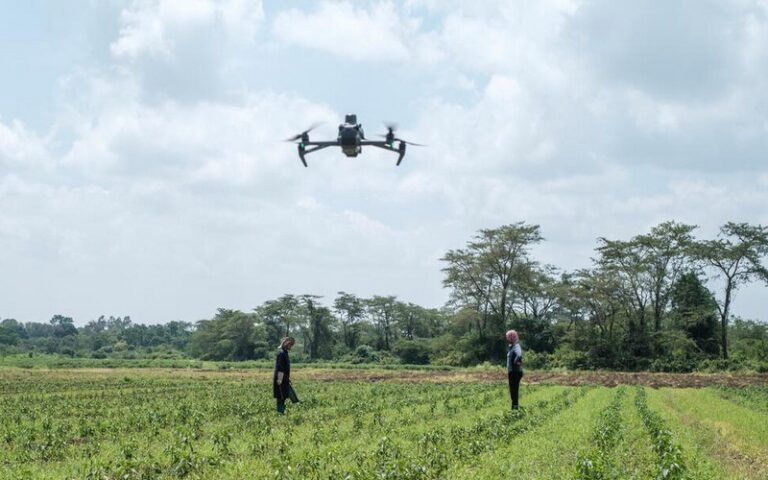 La FAO souligne le potentiel de l’intelligence artificielle et de la révolution numérique pour la transformation du monde et de ses systèmes agroalimentaires